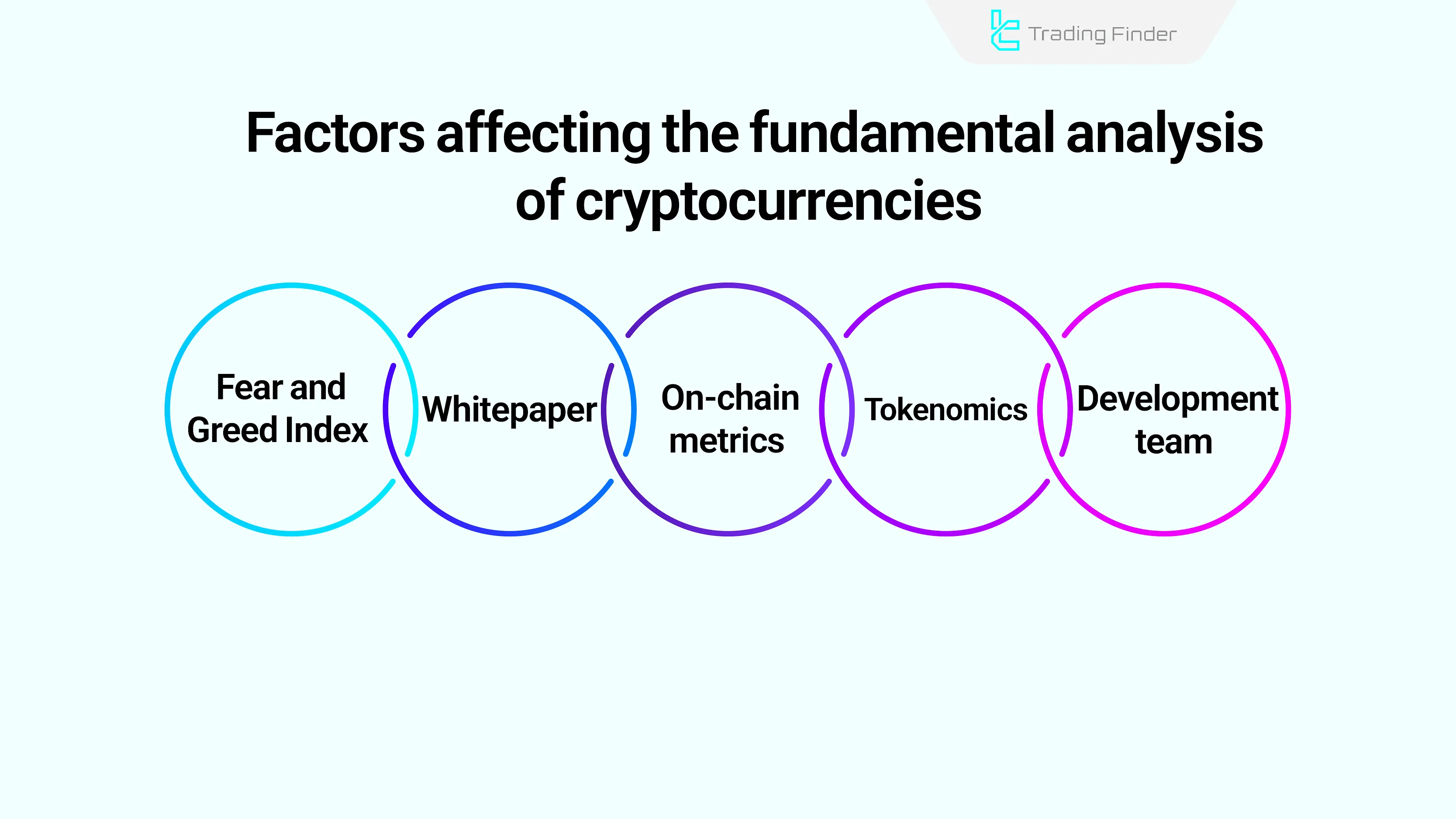 Factors Influencing Fundamental Analysis in the Digital Currency Market