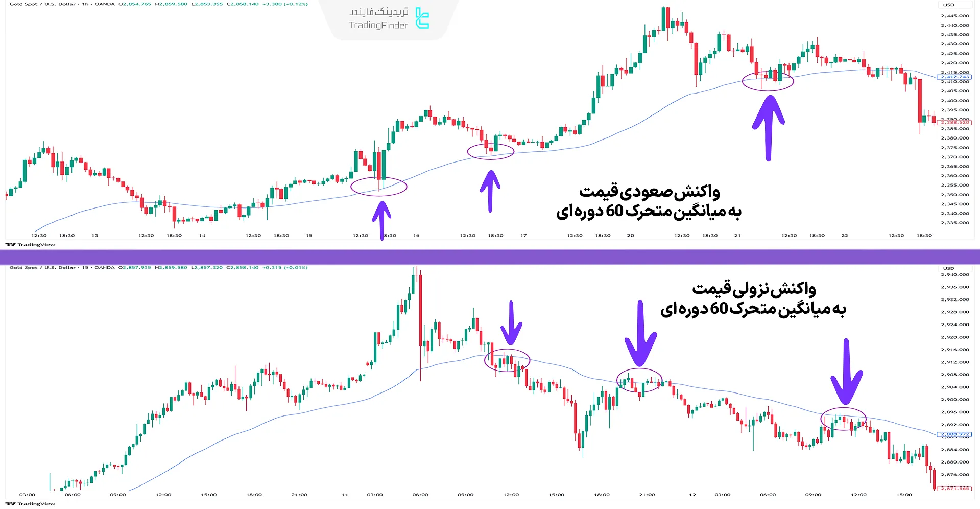واکنشهای قیمت به میانگین متحرک در غالب حمایت و مقاومت