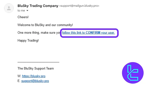 Email confirmation in the BluSky sign-up process