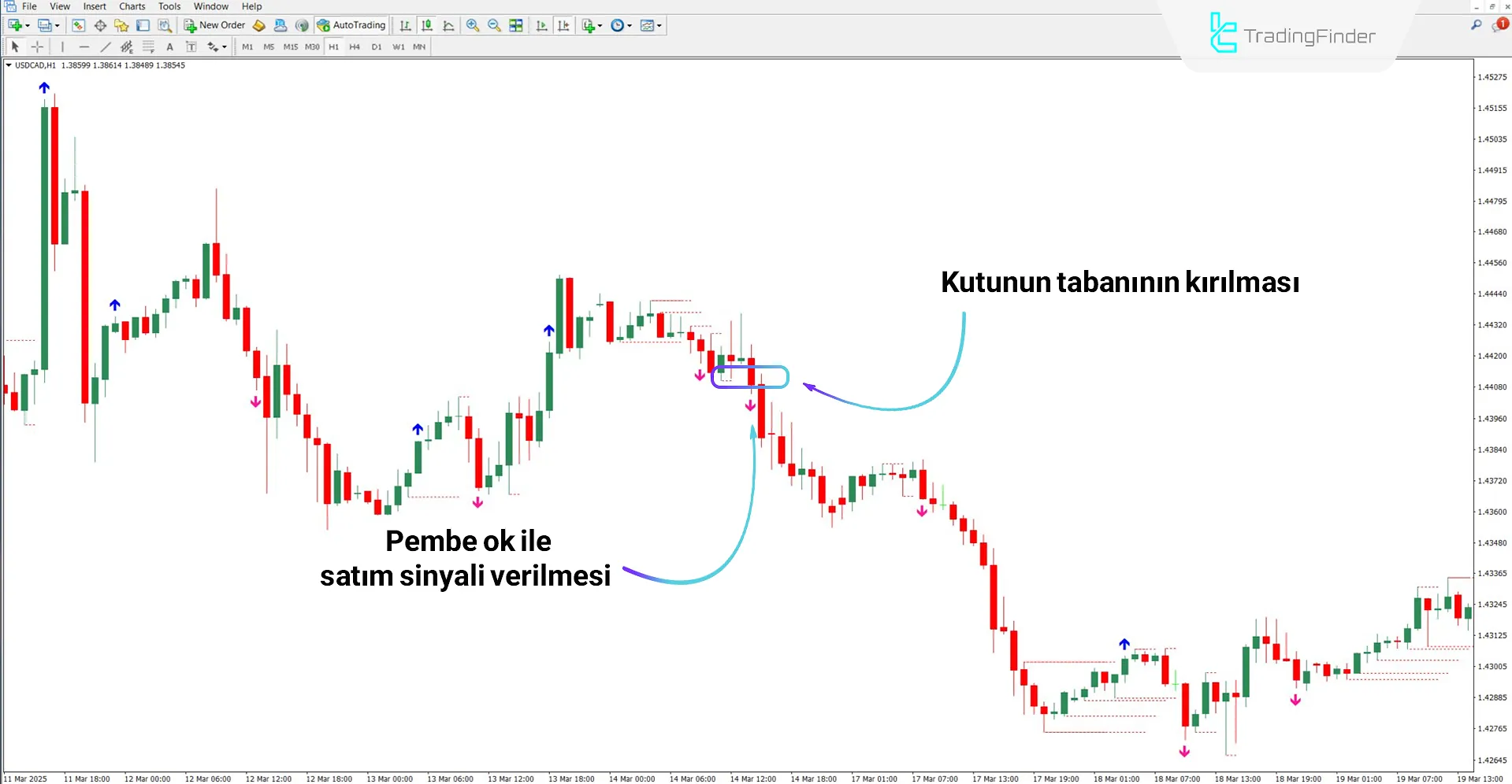 Breakout Box with Arrow Gösterge ile düşüş trendi analizi