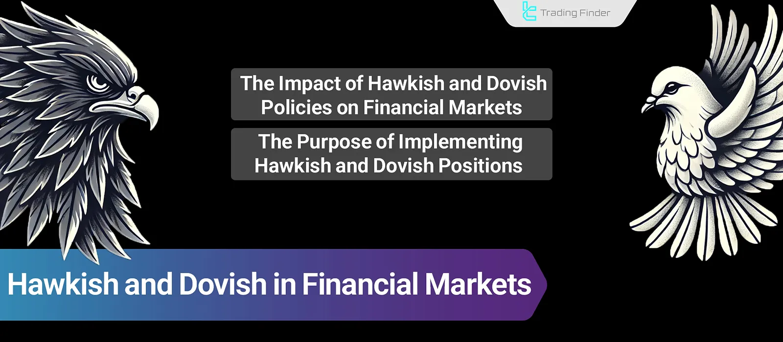 What Are “Hawkish” and “Dovish”? Central Bank Stance in Interest Rate Decisions