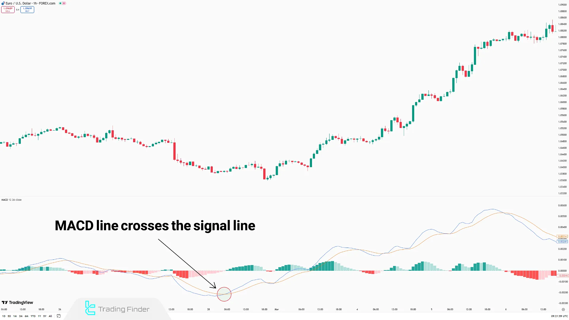 MACD Indicator