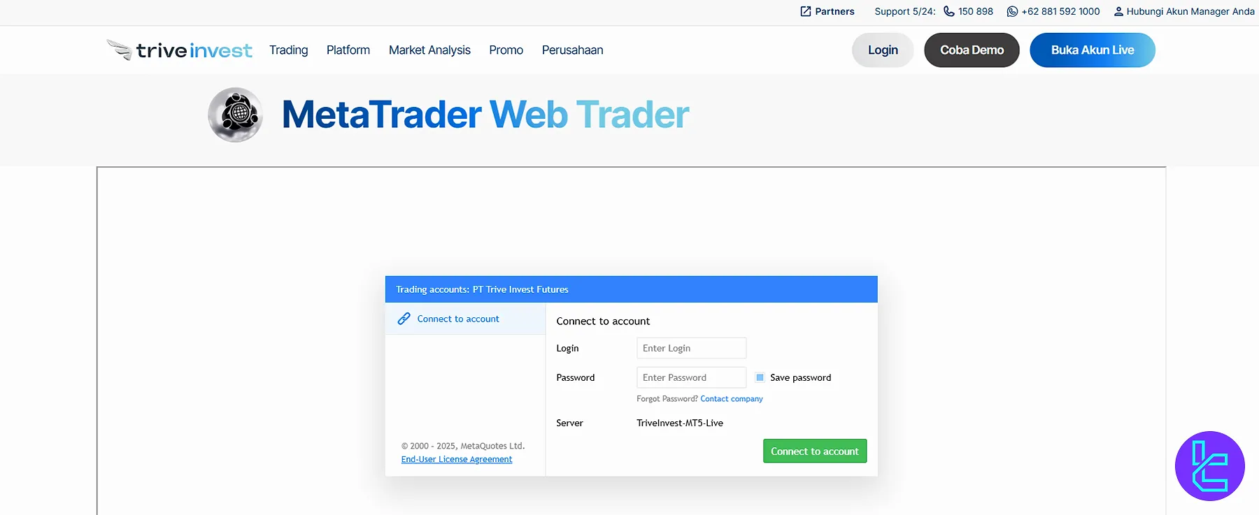 MT5 web on Trive Invest
