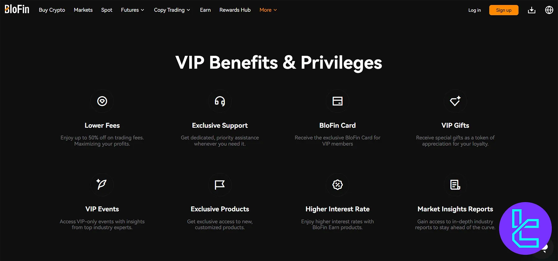BloFin VIP Program