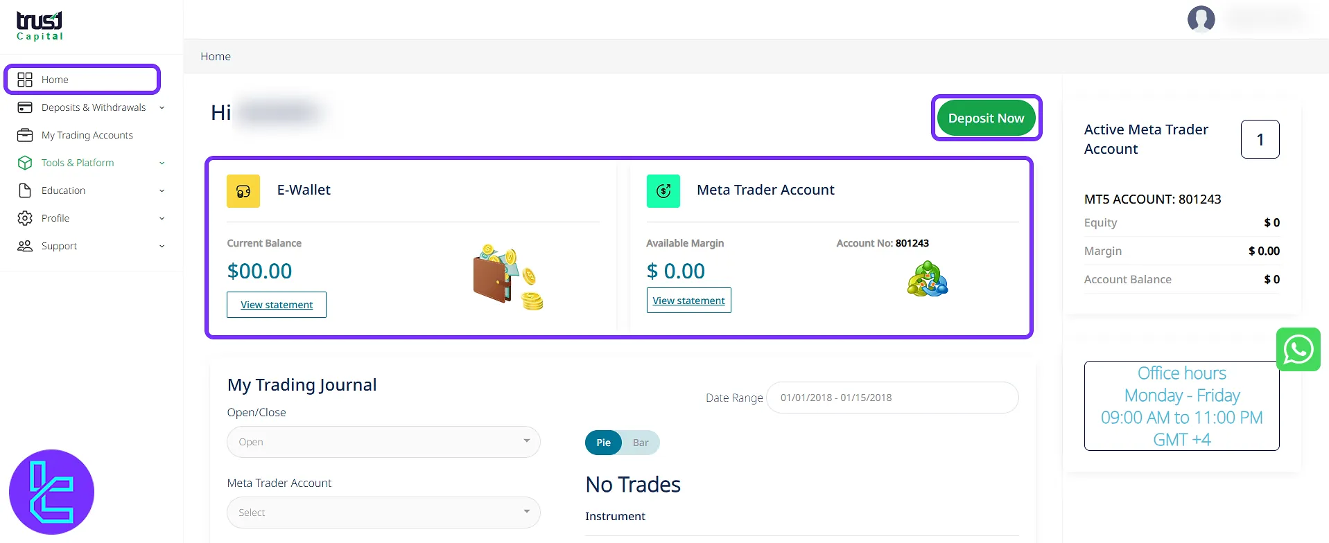 Wallet and MetaTrader overview in the Trust Capital user area