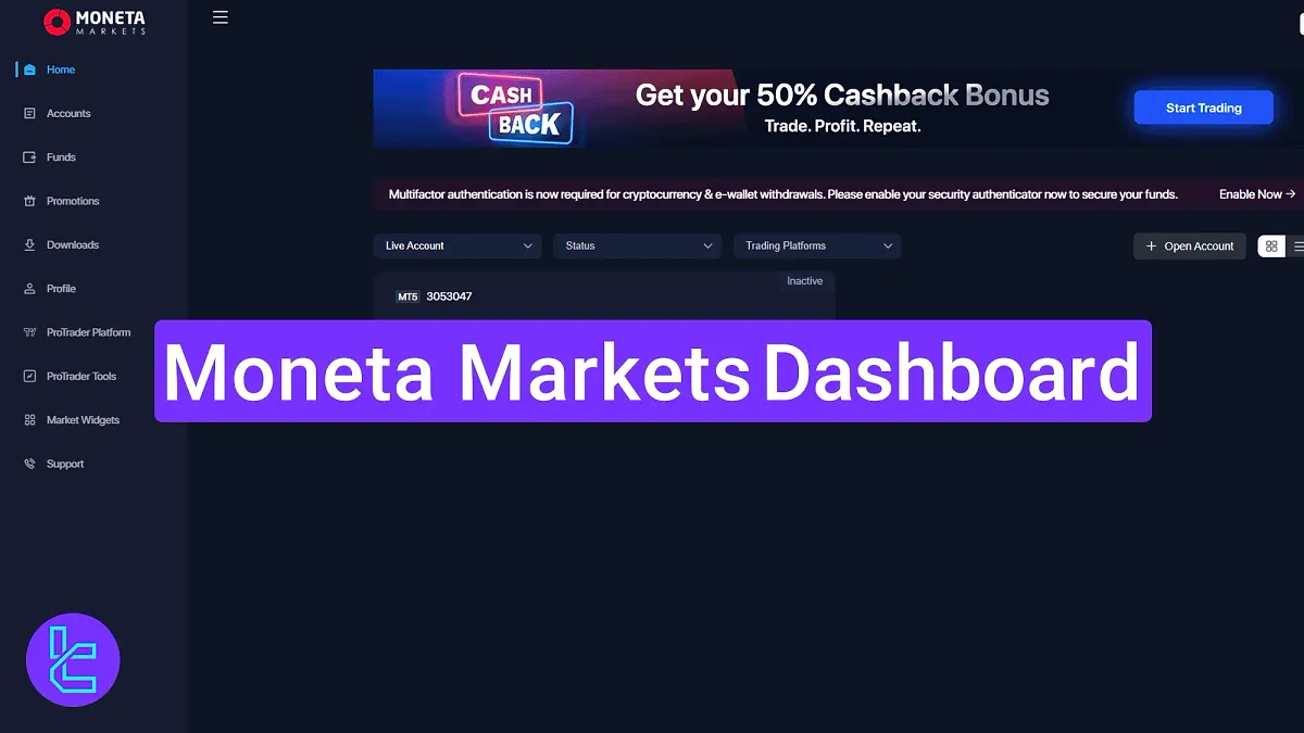 Moneta Markets Dashboard 2025 [10-Part Visual Explanation]