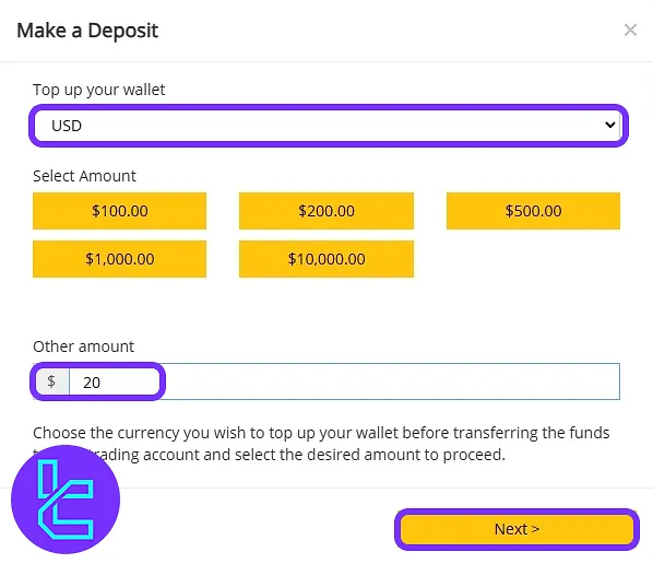 Selecting the USD and entering the funding amount in the Taurex TRC20 payment process