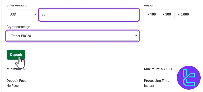 Input field showing HFM ERC20 payment amount