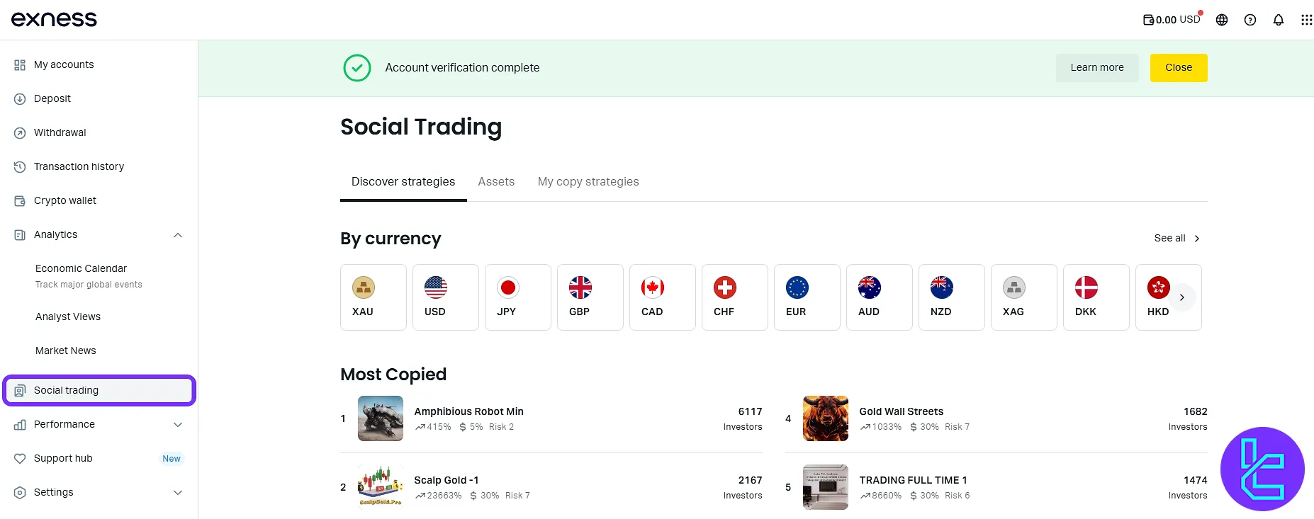 Exness copy trading panel with signal providers and stats