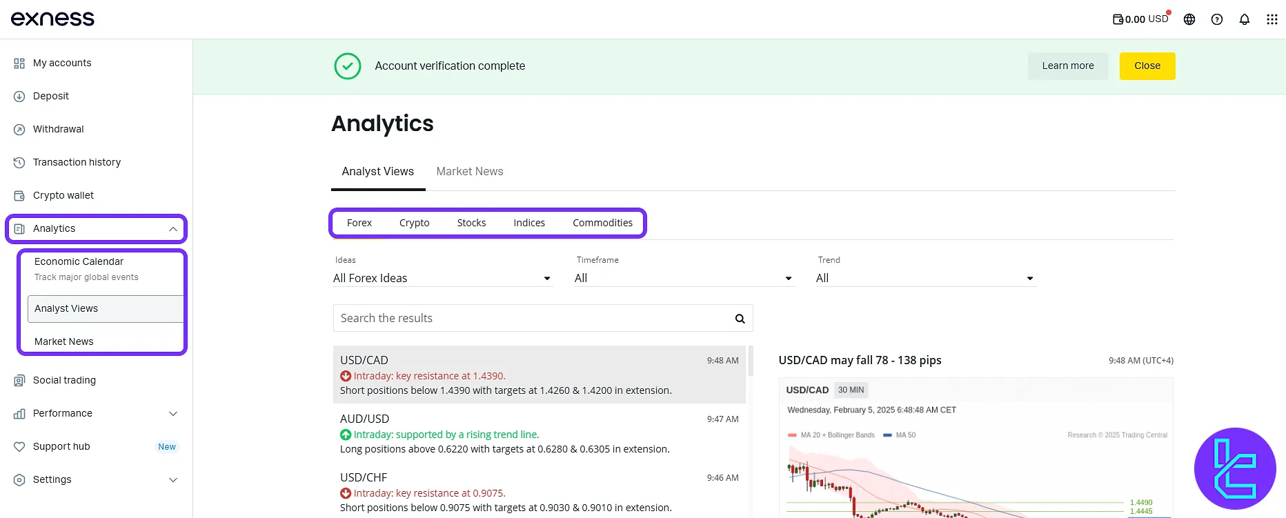 Financial analytics and insight tools within the Exness interface