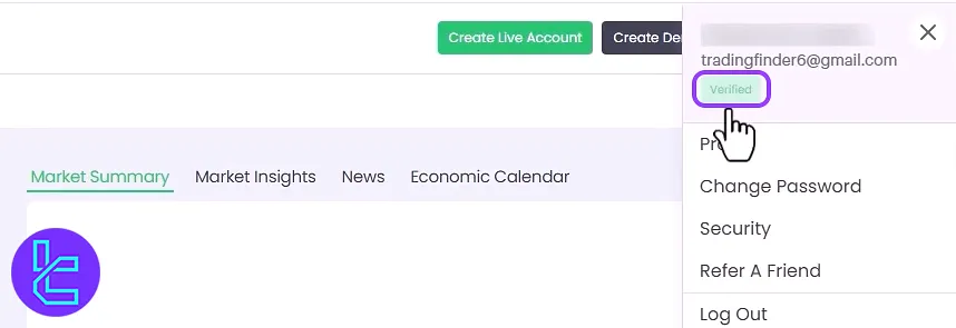 Fxview KYC check status