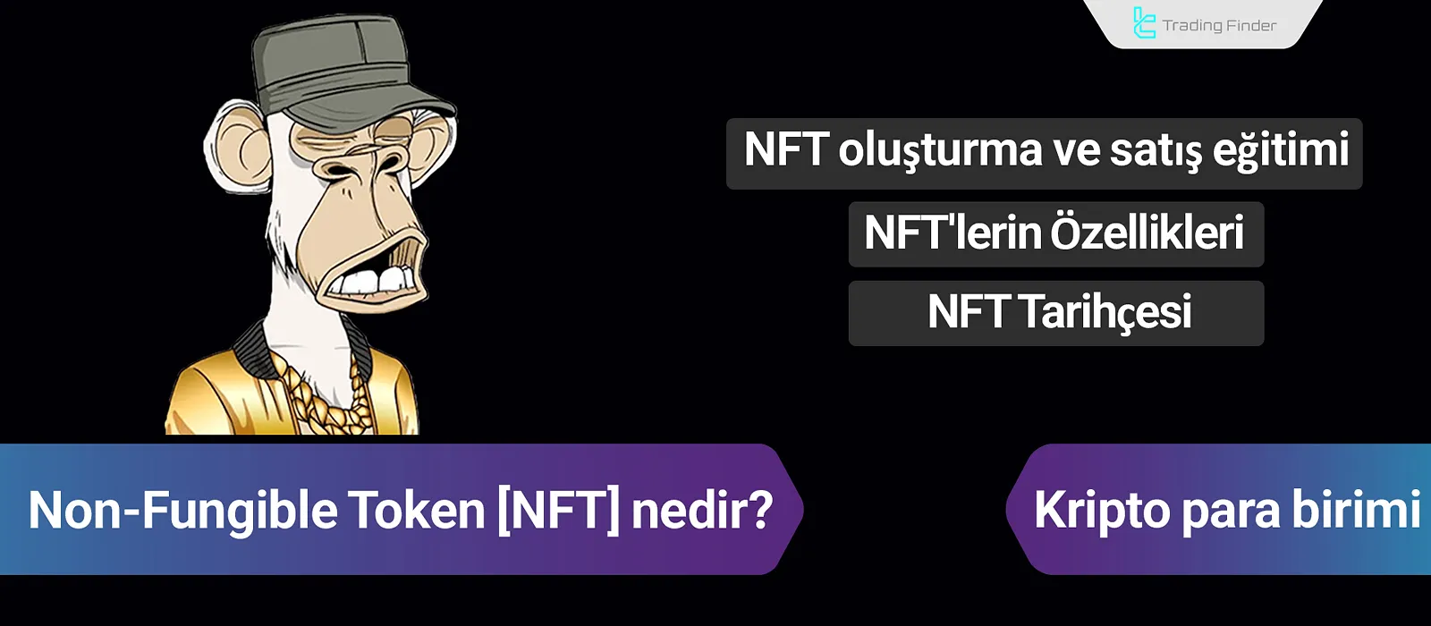 NFT Nedir? [2017'de Ortaya Çıkışı ve Tarihçesi, NFT’lerin Özellikleri]