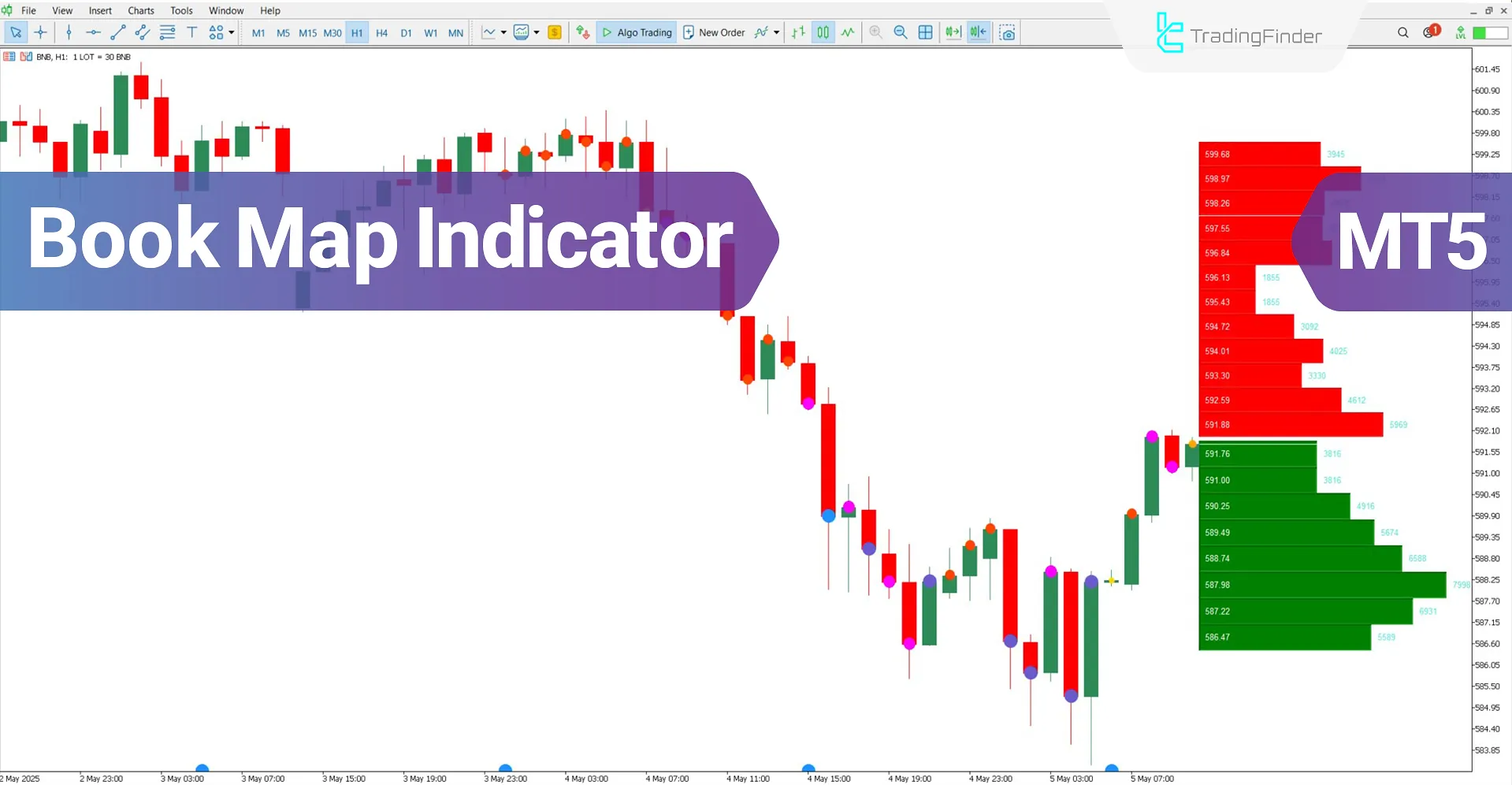 Book Map Indicator for MetaTrader 5 Download – Free – [TradingFinder]