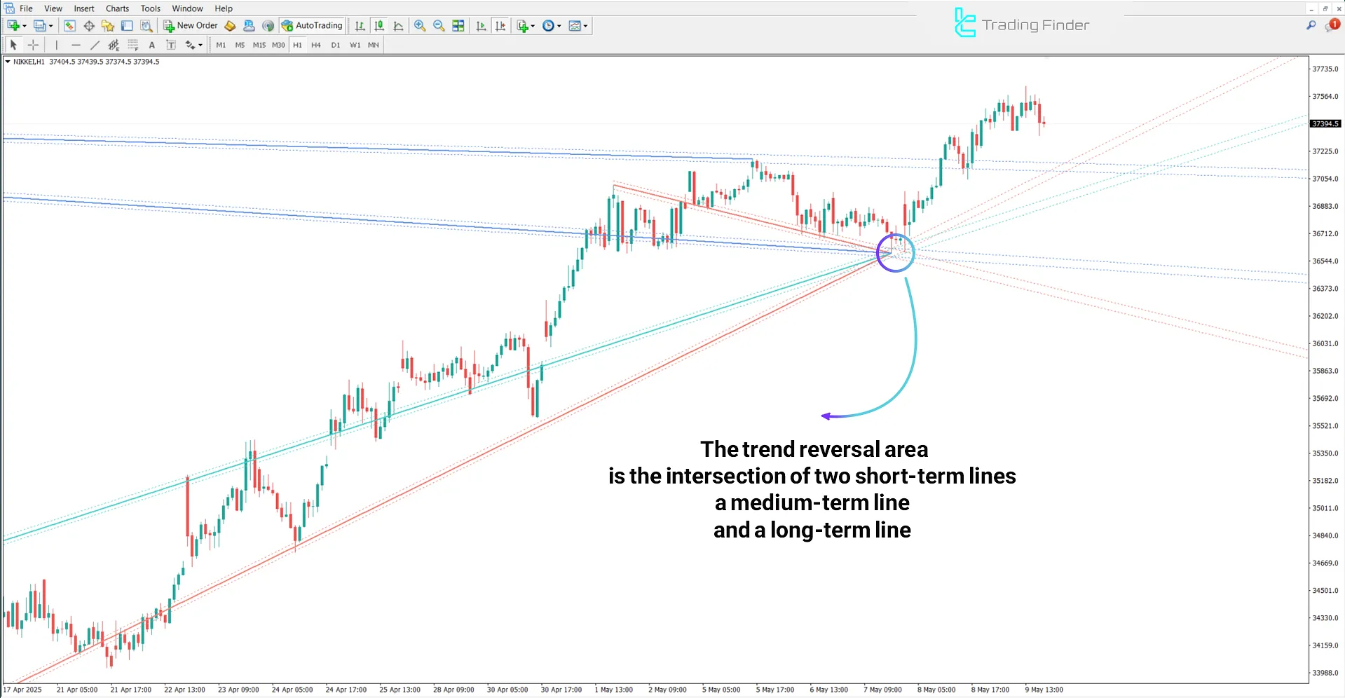Uptrend analysis using the Auto Pivot Lines indicator