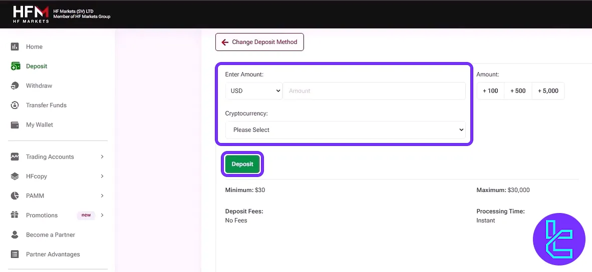 Completing the details in the HFM TRC20 payment form