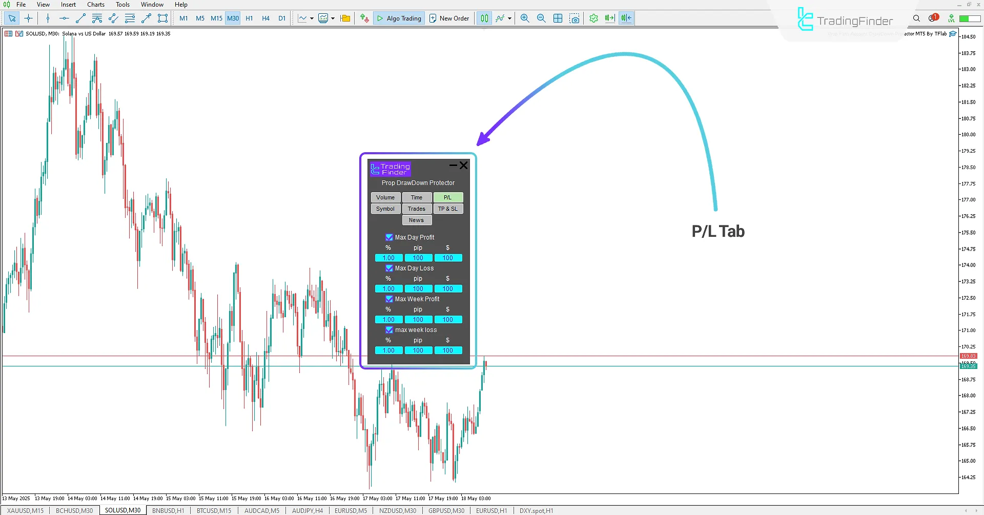 Profit/Loss Tab (P/L)
