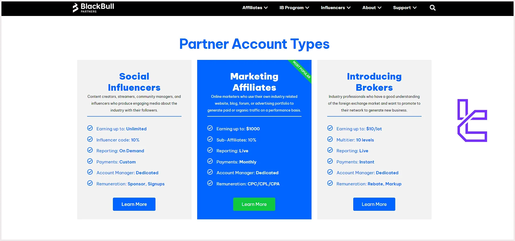 BlackBull Markets Partner Account Types