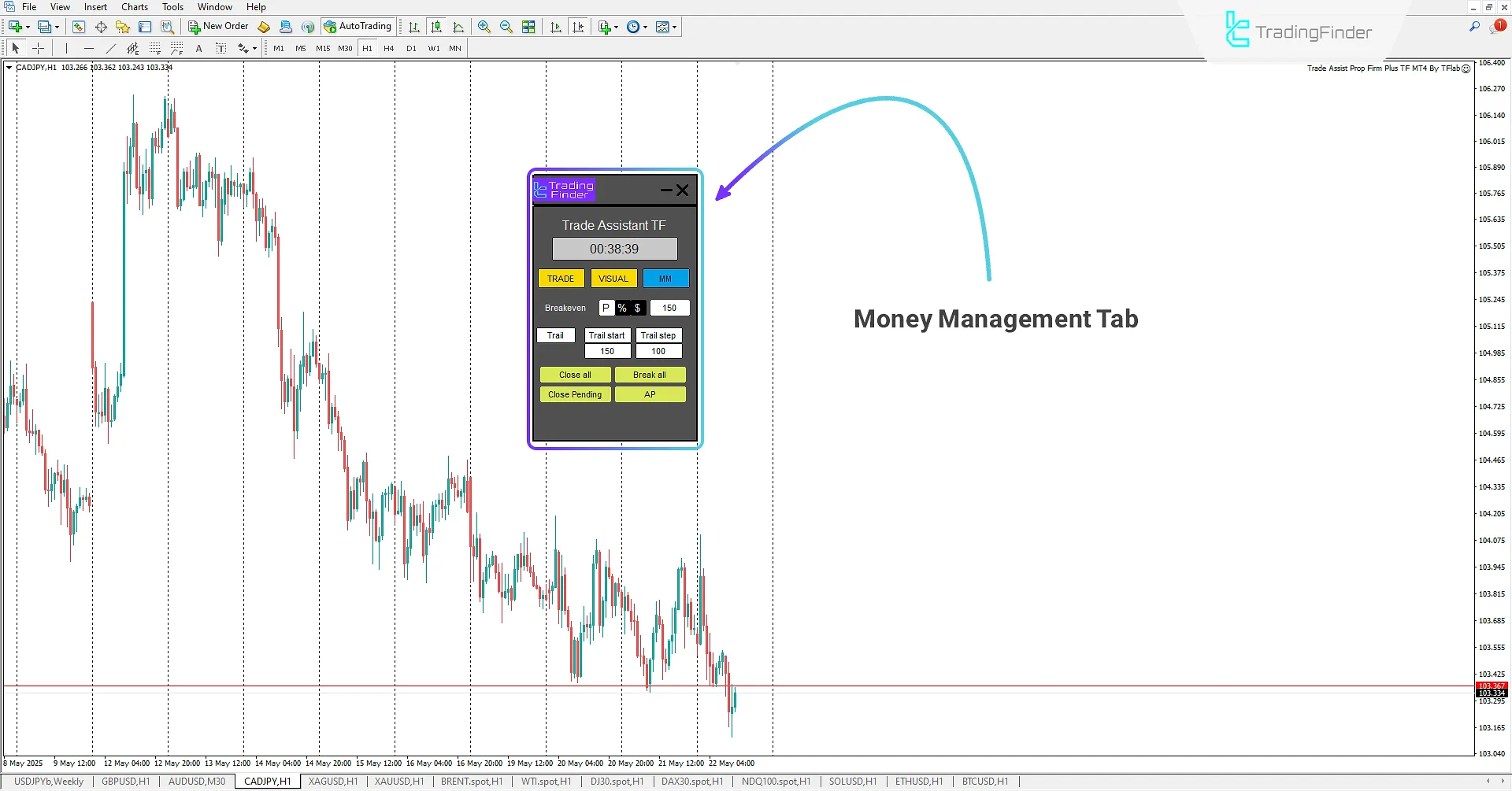 Risk and Capital Management Tab (MM)