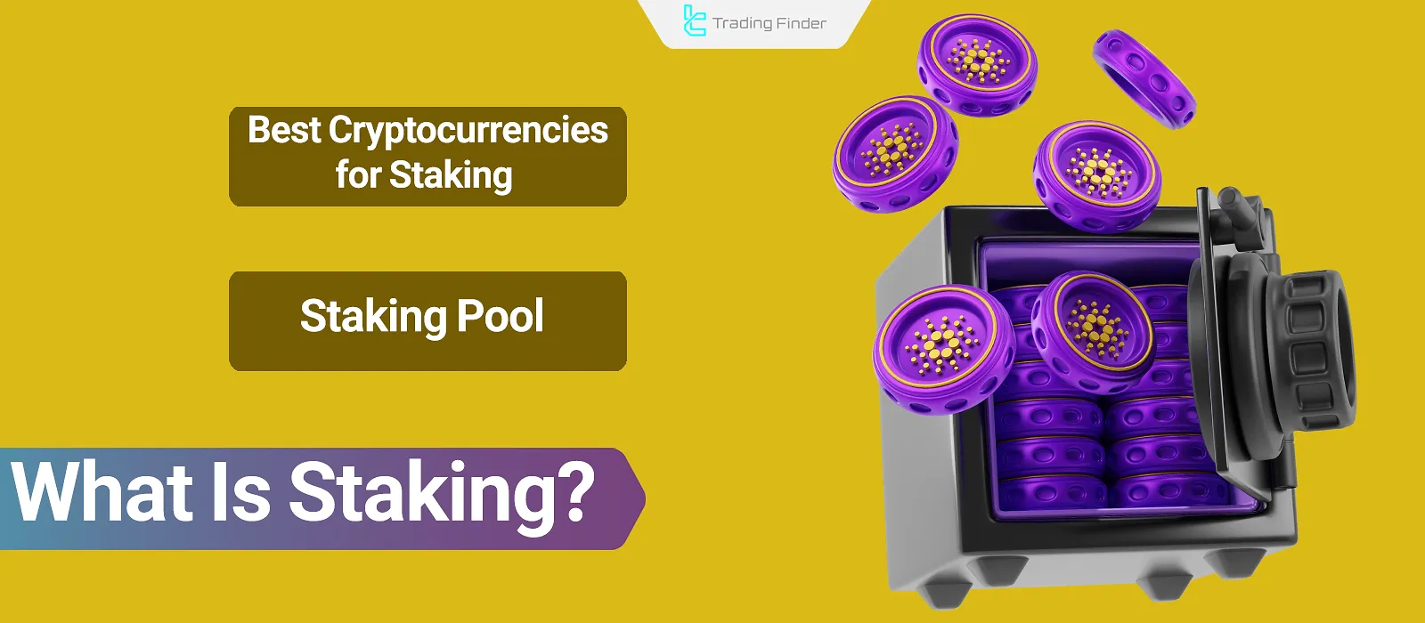 What Is Staking in Cryptocurrency? How the Proof of Stake (PoS) Algorithm Works