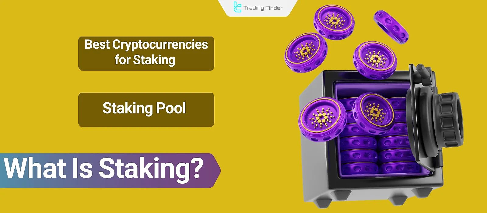 What is Staking? A guide to staking cryptocurrencies