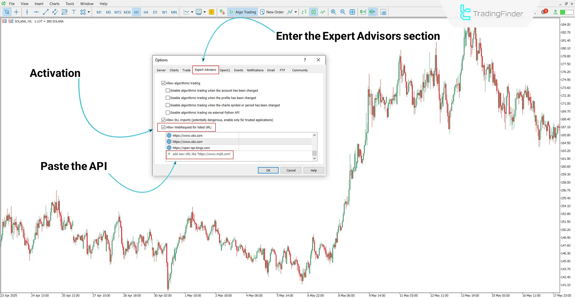 Connect BingX Spot to MT5 Service Download – Free – [TradingFinder] 1