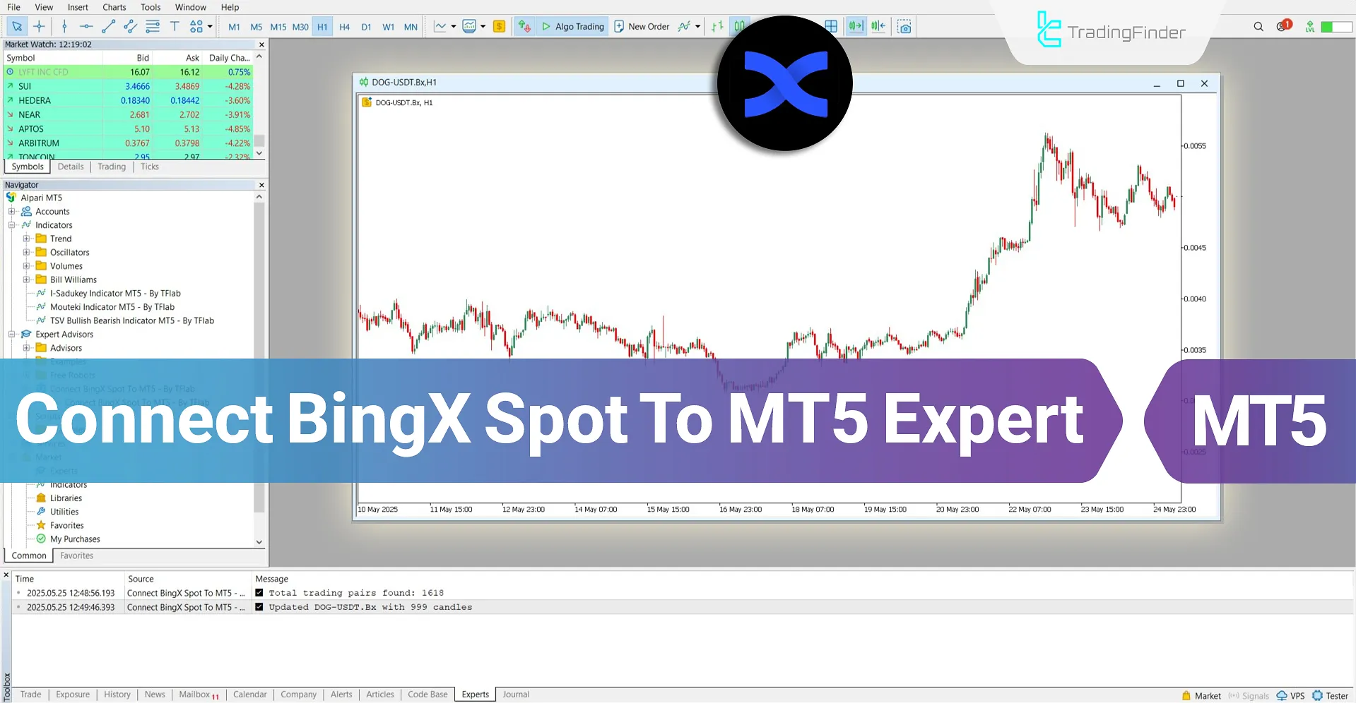 Connect BingX Spot to MT5 Service Download – Free – [TradingFinder]