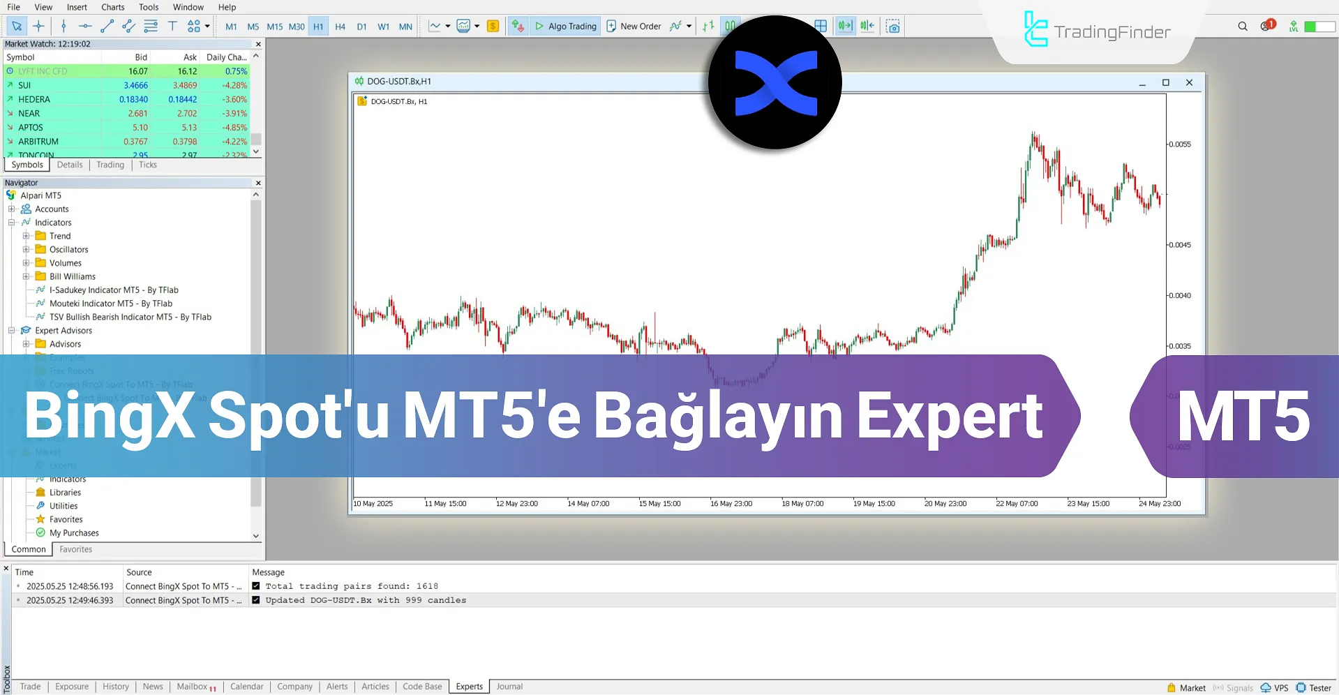 BingX Spot'u MT5'e Bağlama Servisi İndir – Ücretsiz – [TradingFinder]