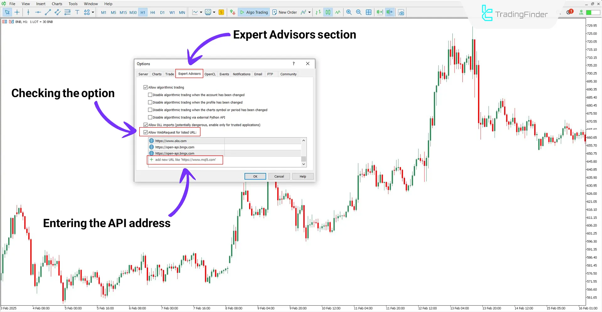 BingX Spot Futures to MT5 Service Download - Free - [TradingFinder] 1