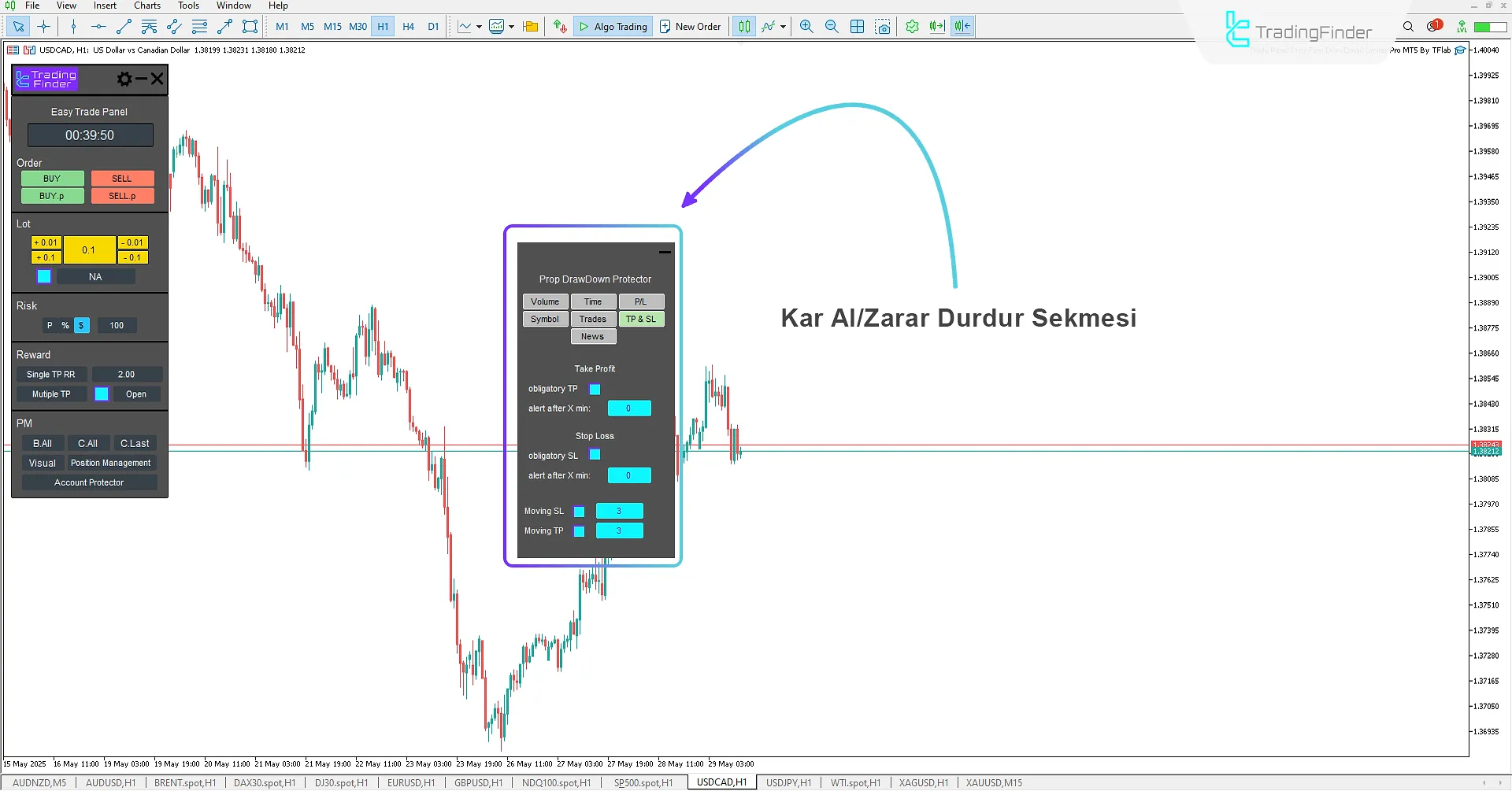 Take Profit ve Stop Loss Seviyelerini Ayarlama Sekmesi (TP & SL)