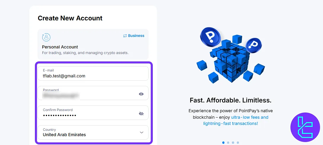 PointPay registration form