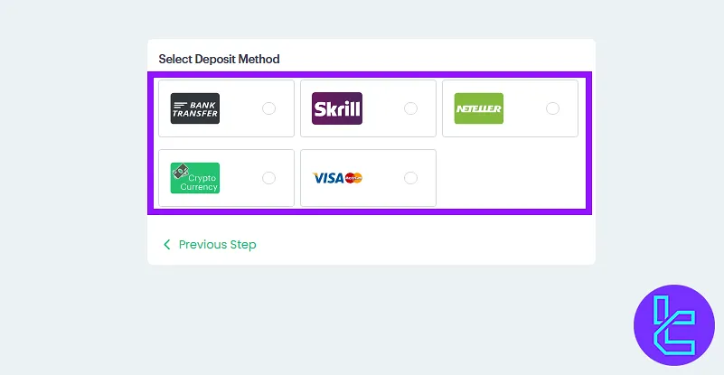 Fxview deposit methods