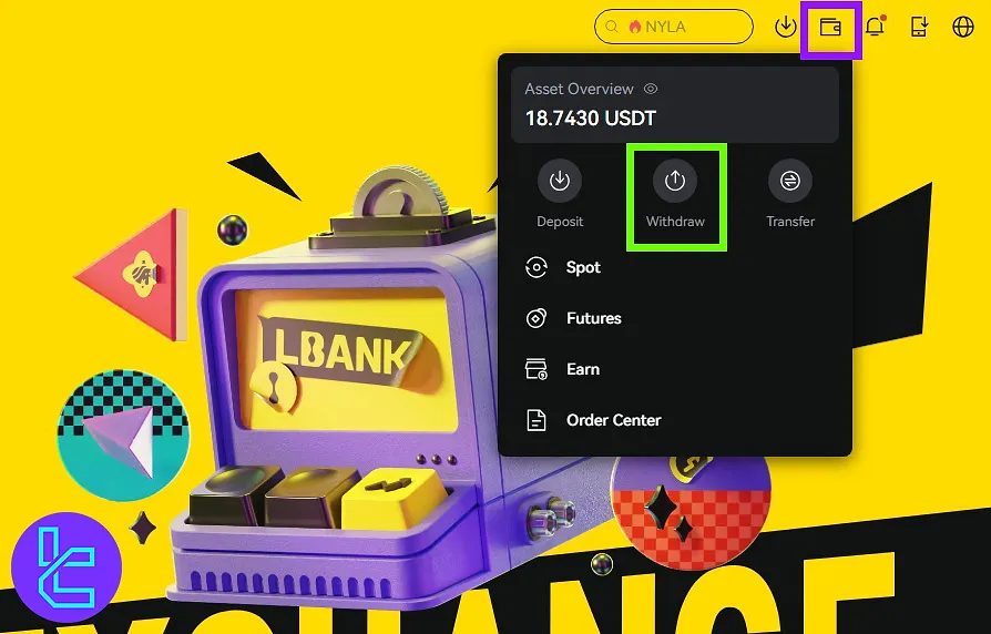 Inputting transaction amount, network, and destination for the LBank payout request