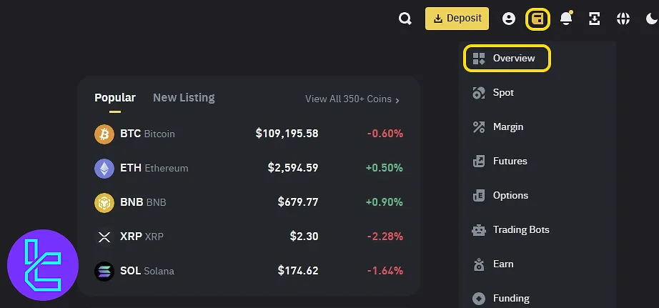 Access Assets section for Binance TRC20 USDT payout