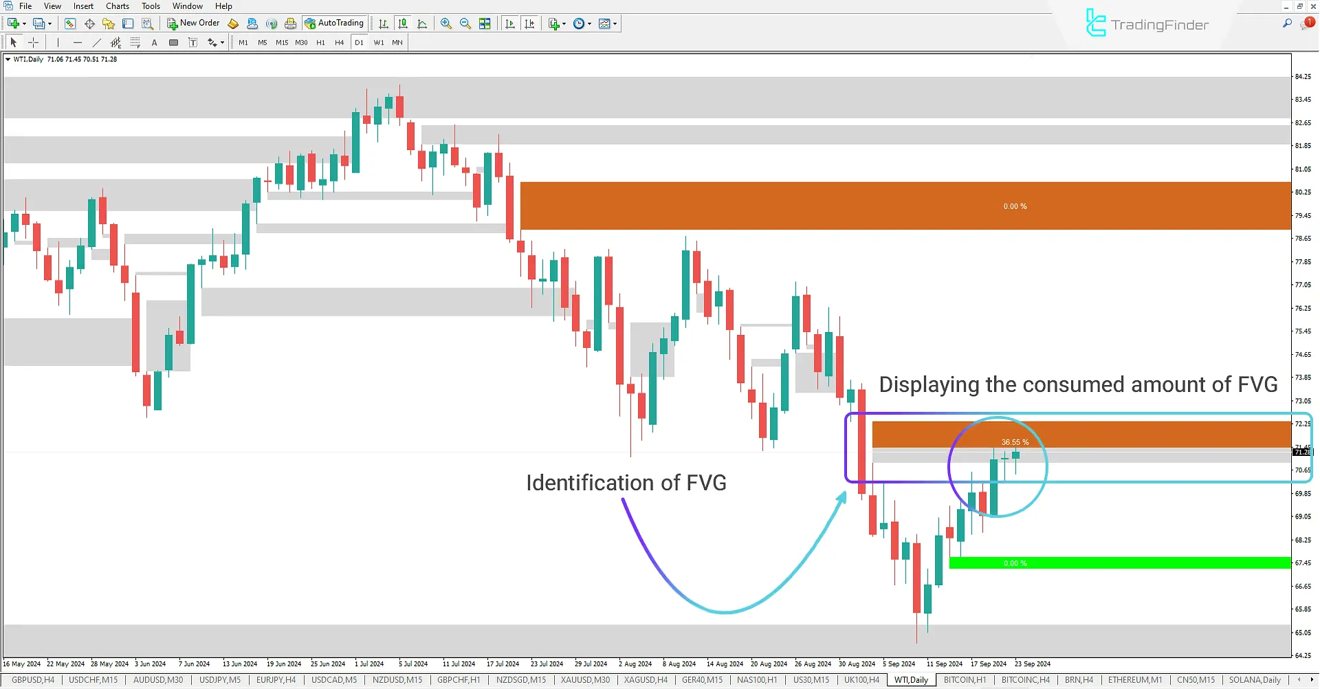 FVG and Void indicator for ICT and Smart Money for Meta Trader 4 Download - Free - [Trading Finder] 2