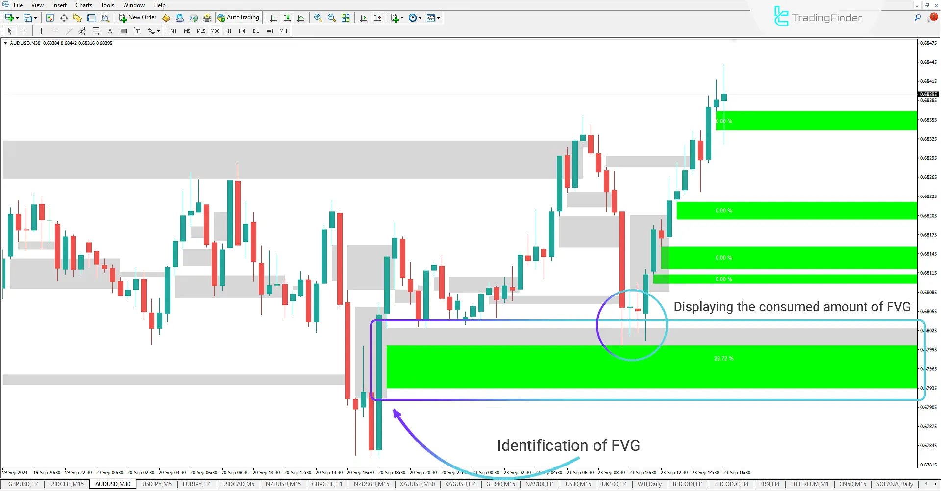 FVG and Void indicator for ICT and Smart Money for Meta Trader 4 Download - Free - [Trading Finder] 1