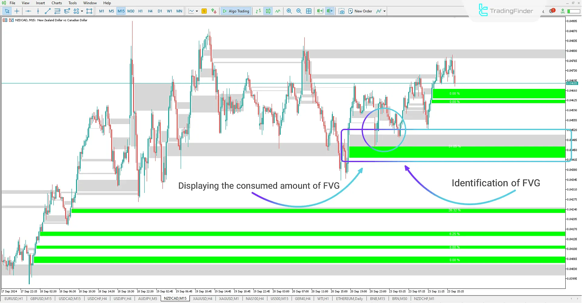 FVG and Void indicator for ICT and Smart Money for Meta Trader 5 Download – Free – [Trading Finder] 1