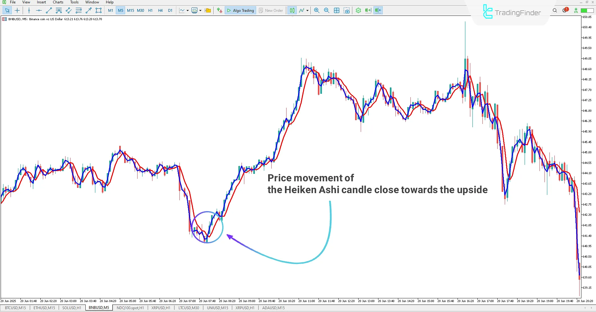 Heiken Ashi Real indicator for MetaTrader 5 Download 1