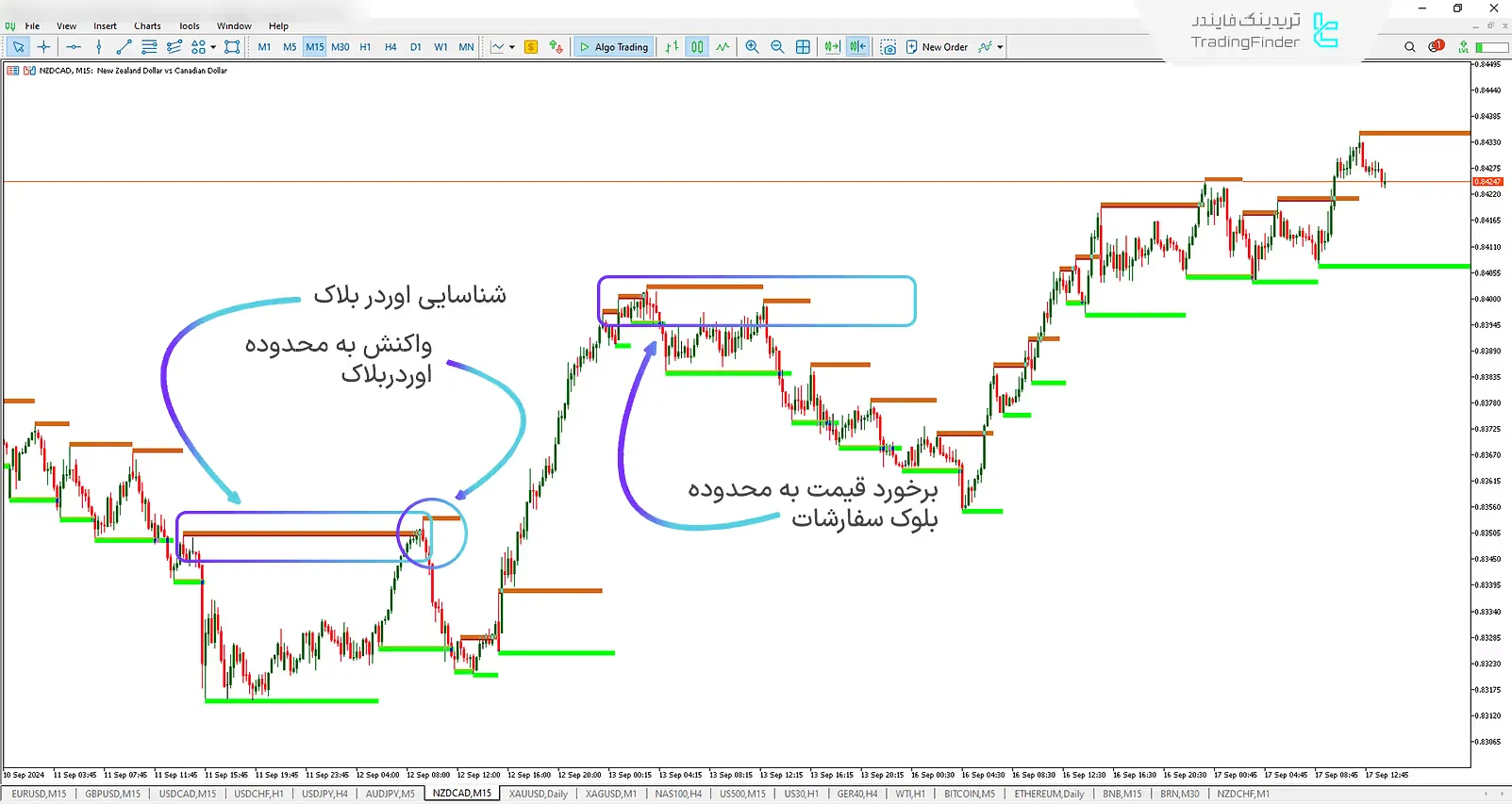 دانلود اندیکاتور بلوک سفارشات (Order Block) ویژه ICT و پول هوشمند برای متاتریدر 5 - رایگان - [تریدینگ فایندر] 2