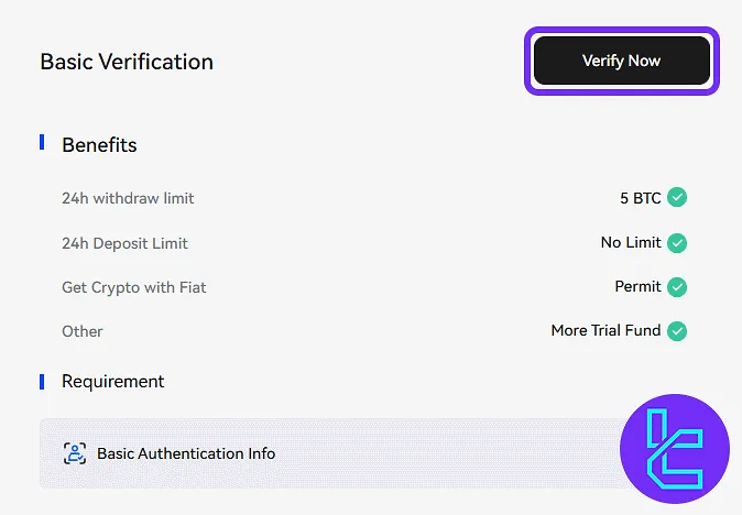 Toobit identity confirmation section with the "Verify Now" button