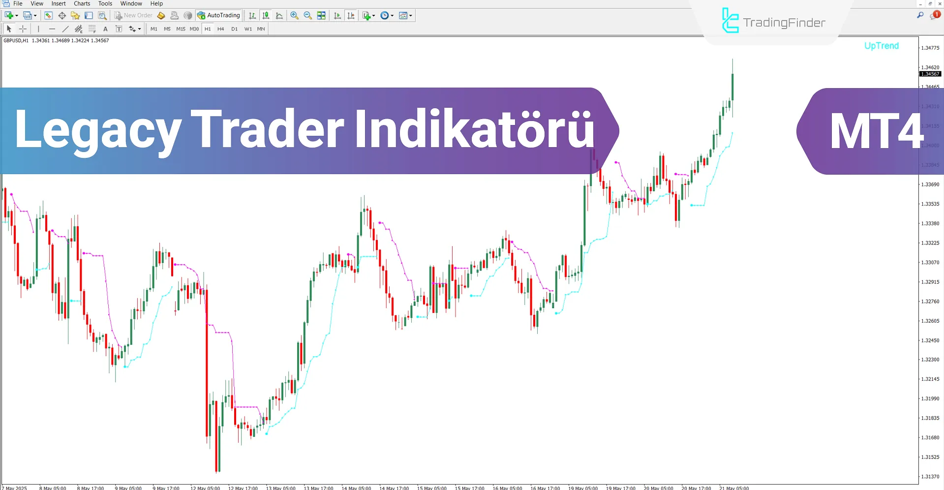 Legacy Trader Göstergesi MT4 için İndirme – Ücretsiz – [TradingFinder]