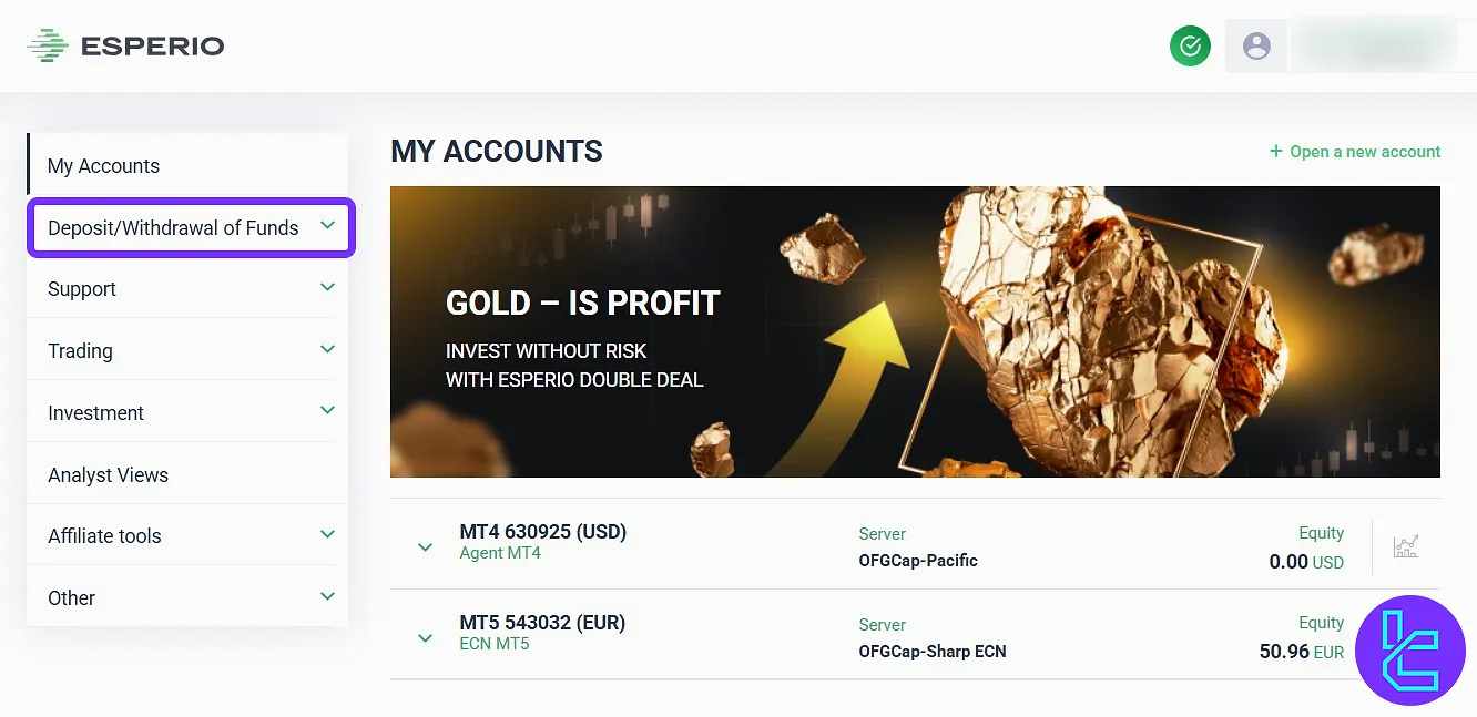 Screenshot of Esperio dashboard showing the payout section