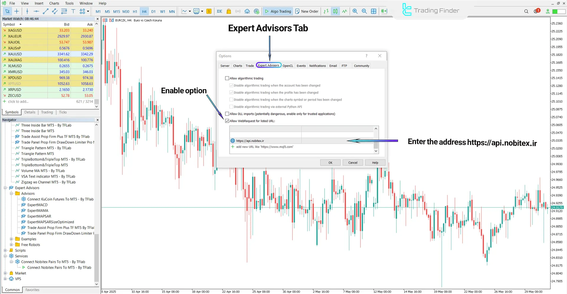 Connect Nobitex to MetaTrader 5 – Expert – [TradingFinder] 1
