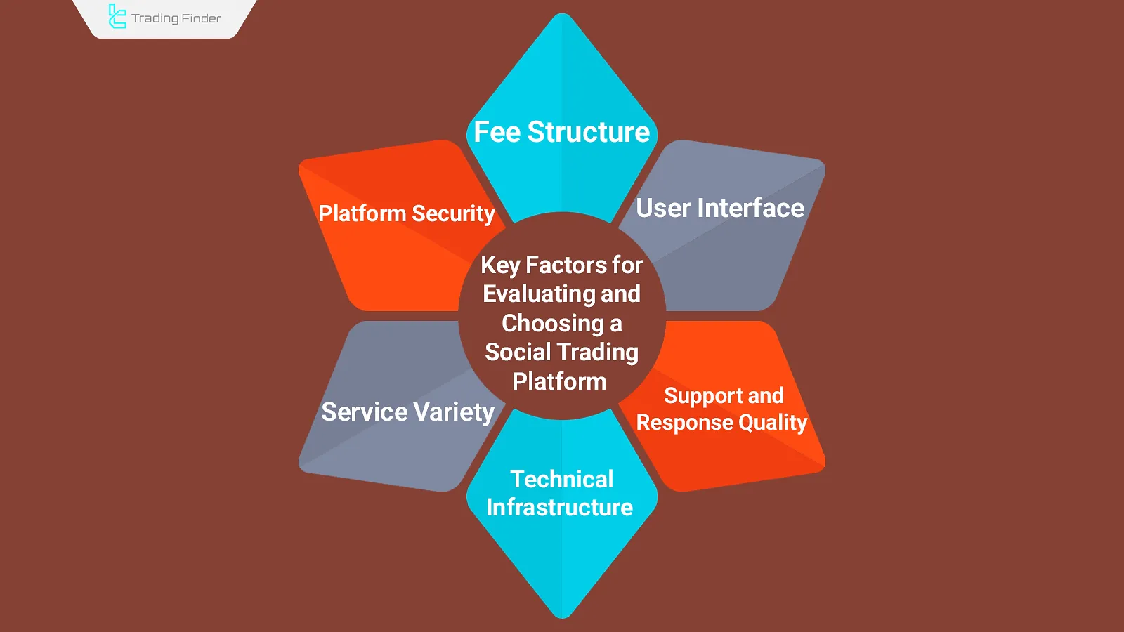 Criteria for Choosing a Social Trading Platform