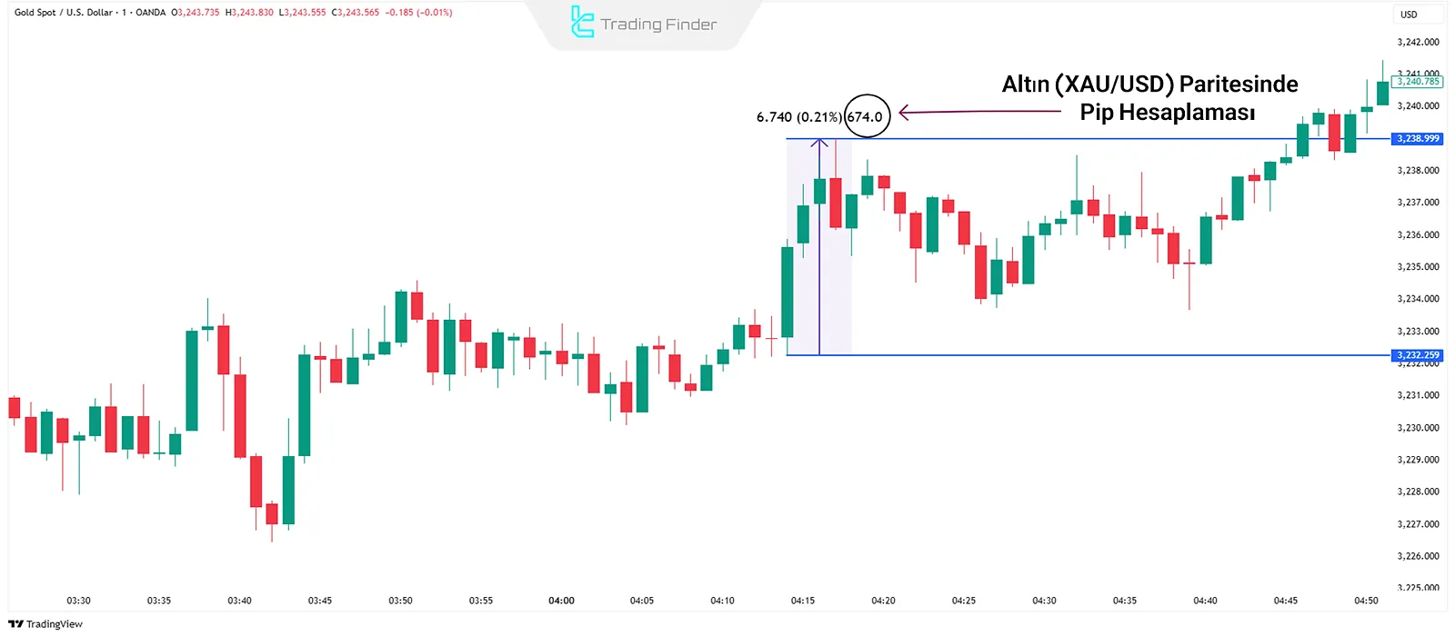 Forex'te pip hesaplama