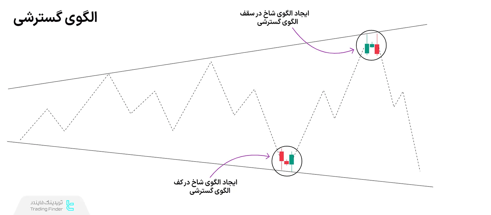 ترگیب الگوی شاخ با الگوی گسترشی