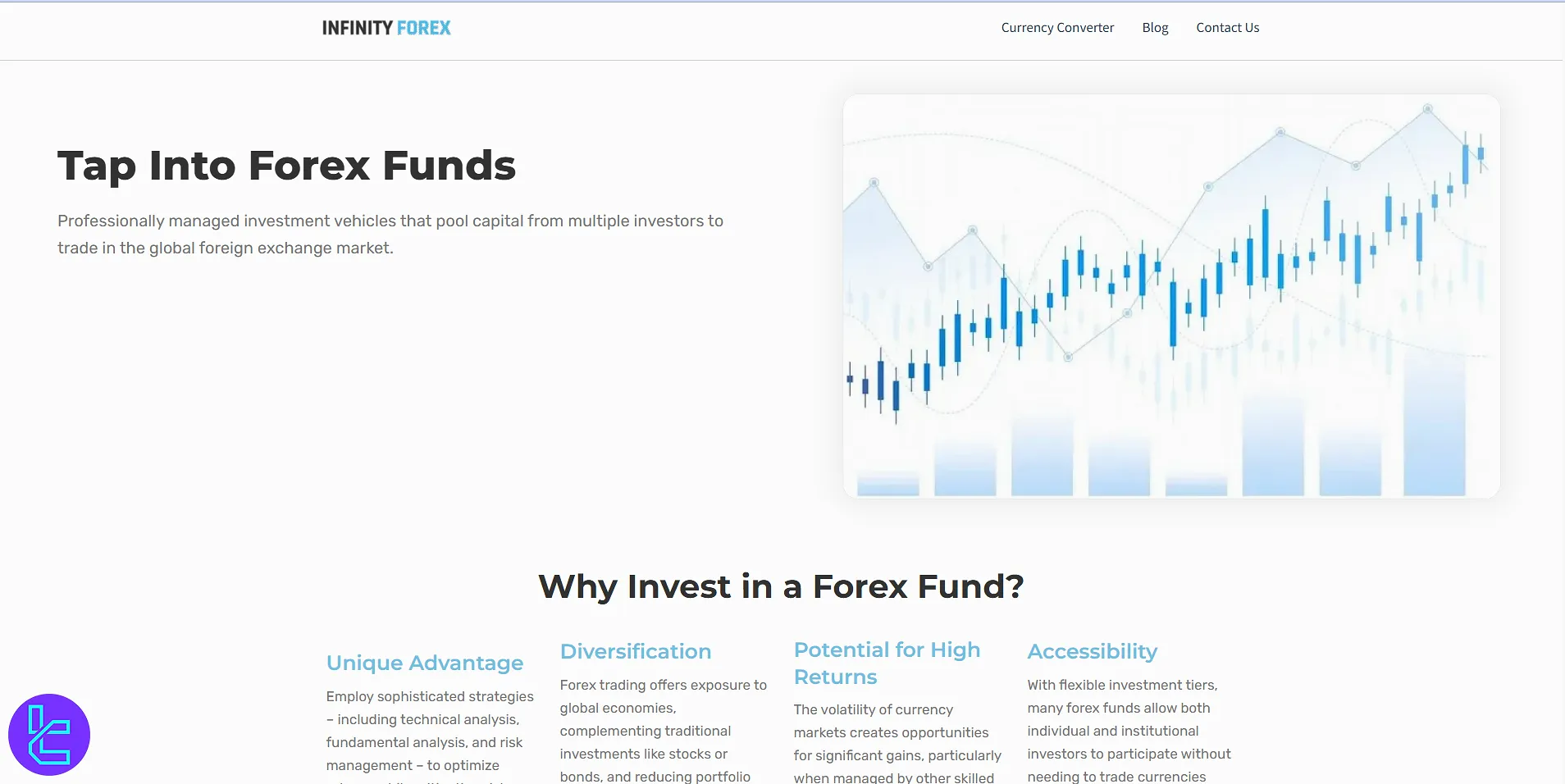 Infinity Forex Fund website