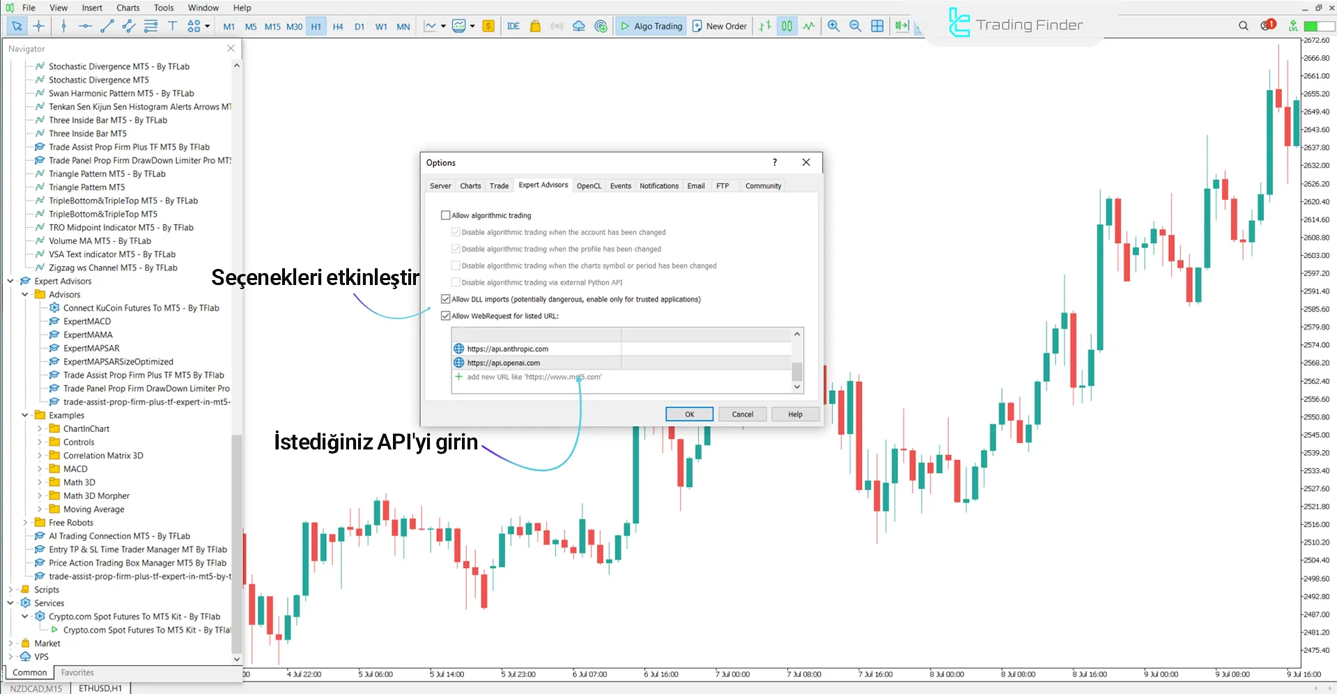 AI Trading Connection’da WebRequest etkinleştirme adımları
