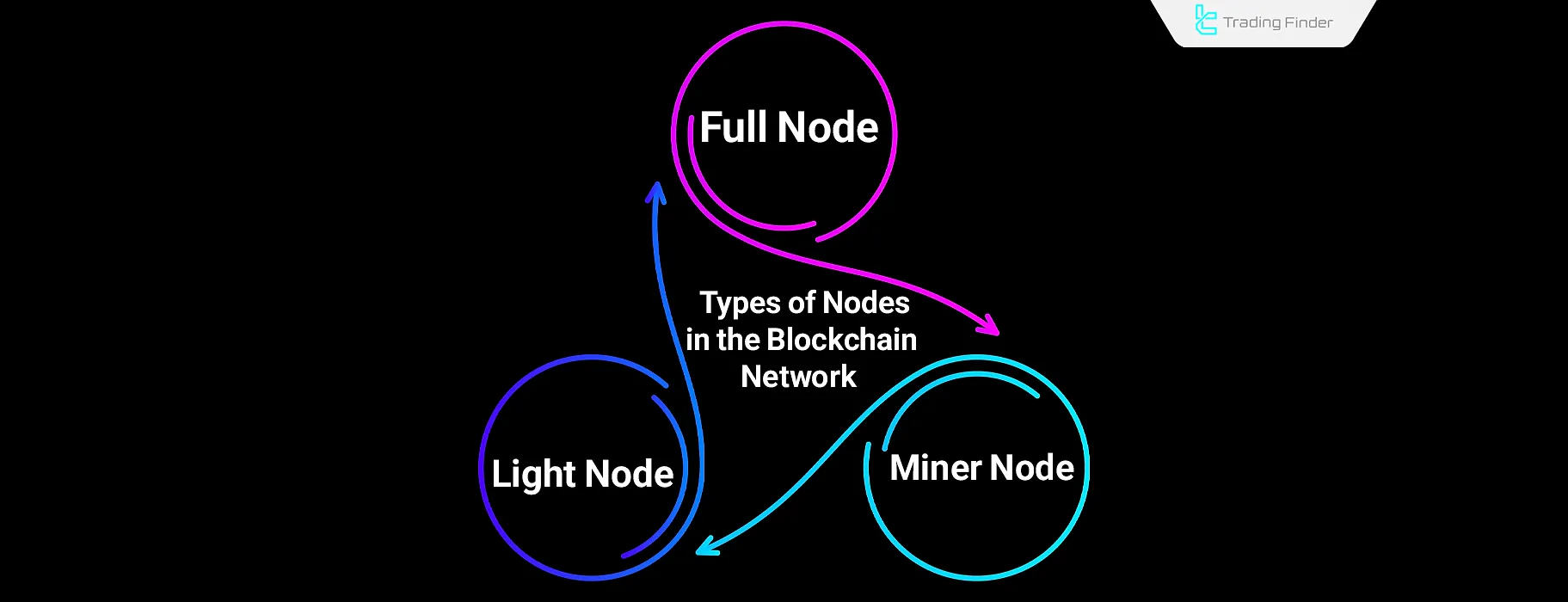 Types of Blockchain Nodes