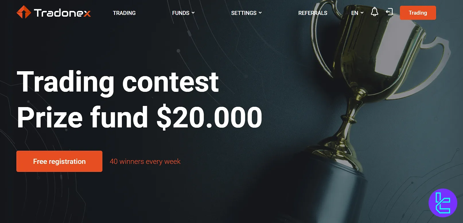 Tradonex contest
