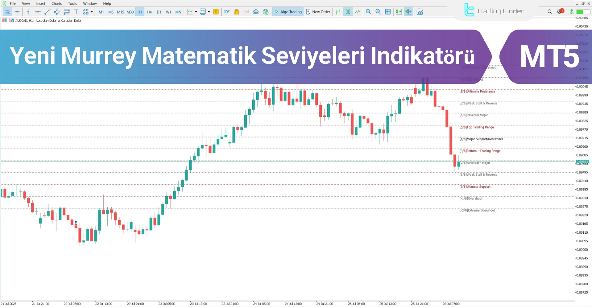 Yeni Murrey Matematik Seviyeleri Göstergesi MT5 - İndirme [TFlab]